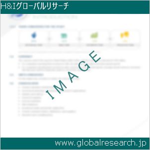 グローバルリサーチ調査レポートのイメージ